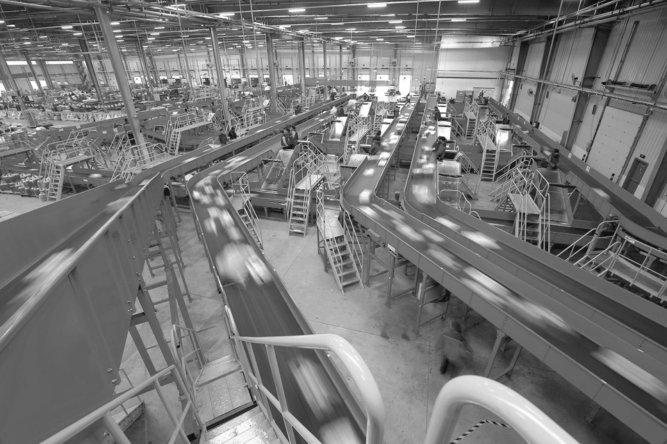 成都京东双11这些大动作 引领电商优质消费体