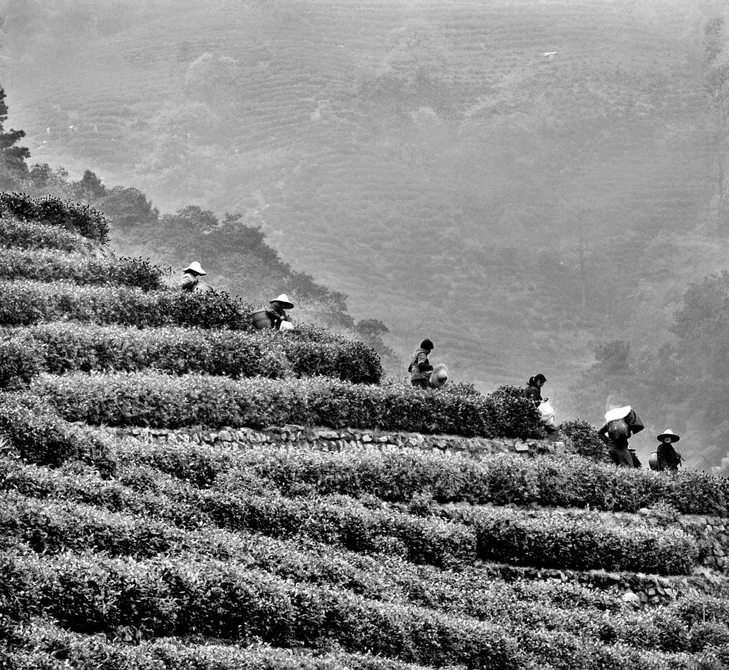 三条精品旅游线路 带你领略西湖区的独特韵味