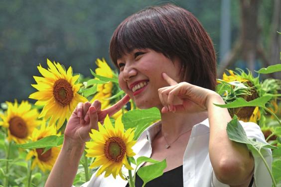 公园里的向日葵"笑"啦