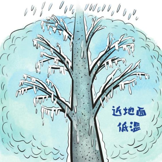 冻雨的危害比暴雪还大|华西都市报